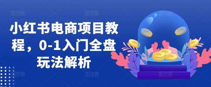 小红书电商项目教程，0-1入门全盘玩法解析-菡洋资源网