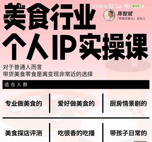 美食行业个人IP实操课，对于普通人而言，带货美食零食是离变现非常近的选择-菡洋资源网