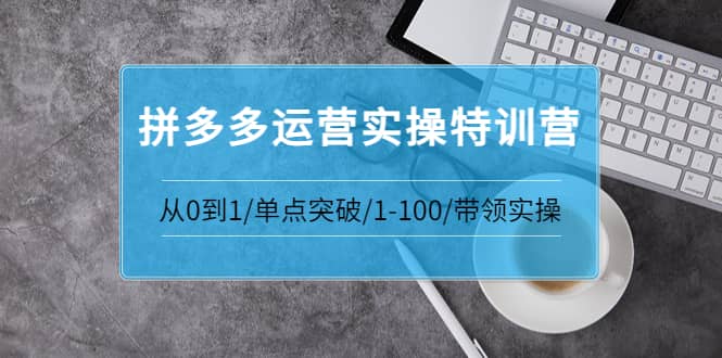 拼多多运营实操特训营:从0到1/单点突破/1-100/带领实操 价值2980元-菡洋资源网