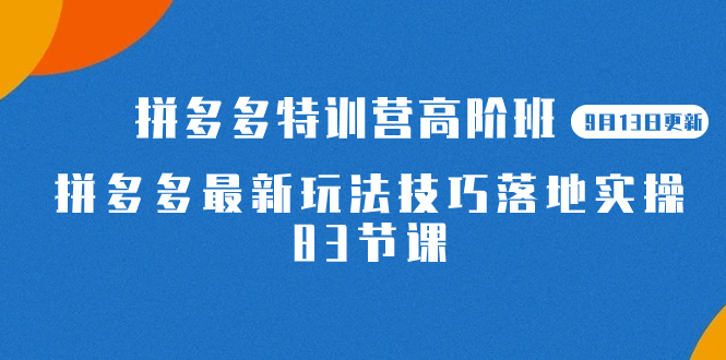 2023拼多多·特训营高阶班【9月13日更新】拼多多最新玩法技巧落地实操-83节-菡洋资源网