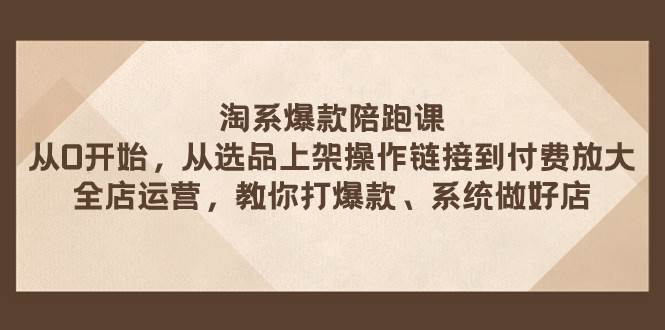 淘系爆款陪跑课 从选品上架操作链接到付费放大 全店运营 打爆款 系统做好店-菡洋资源网