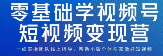 0基础学视频号短视频变现，适合新人学习的短视频变现课-菡洋资源网