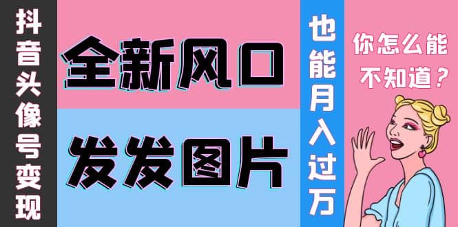 抖音头像号变现0基础教程-菡洋资源网