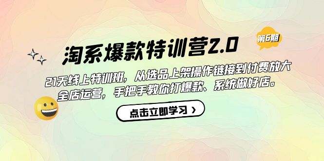 淘系爆款特训营2.0【第六期】从选品上架到付费放大 全店运营 打爆款 做好店-菡洋资源网