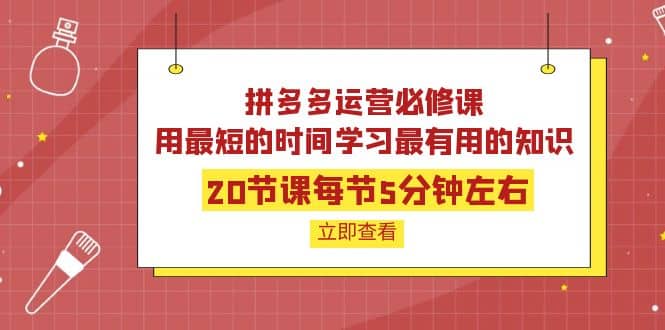 拼多多运营必修课：20节课每节5分钟左右，用最短的时间学习最有用的知识-菡洋资源网