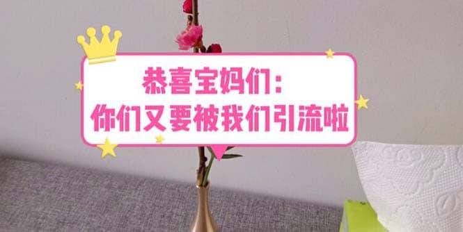 恭喜宝妈们：你们又要被我们引流了（教程+222g资料）-菡洋资源网