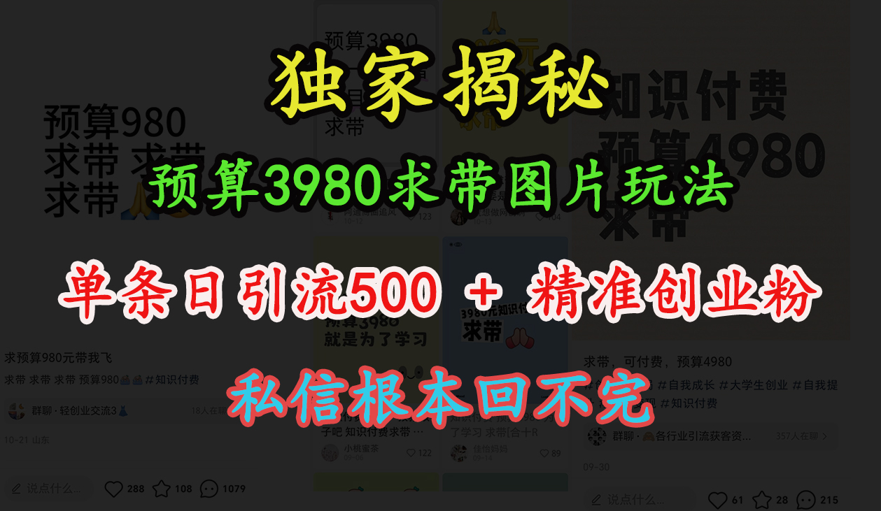 “小红书”预算3980求带 图片玩法，单条日引流500+精准创业粉，私信根本回不完-菡洋资源网