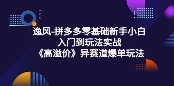 拼多多零基础新手小白入门到玩法实战《高溢价》异赛道爆单玩法实操课-菡洋资源网