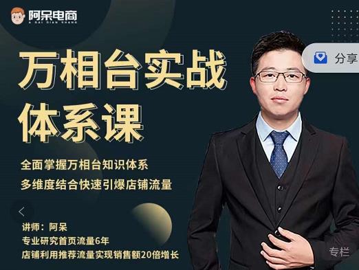 阿呆-万相台实战体系课,帮您全面掌握万相台知识体系-菡洋资源网