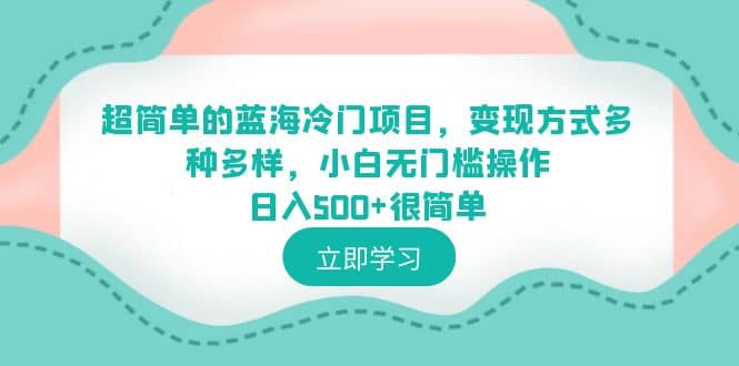 超简单的蓝海冷门项目，变现方式多种多样，小白无门槛操作日入500+很简单-菡洋资源网