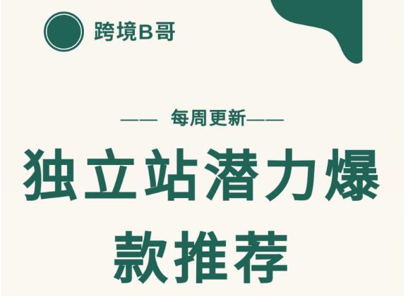 【跨境B哥】独立站潜力爆款选品推荐，测款出单率高达百分之80（每周更新）-菡洋资源网