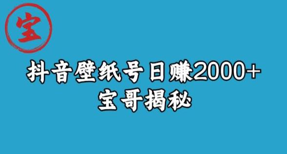 宝哥抖音壁纸号日赚2000+，不需要真人露脸就能操作【揭秘】-菡洋资源网