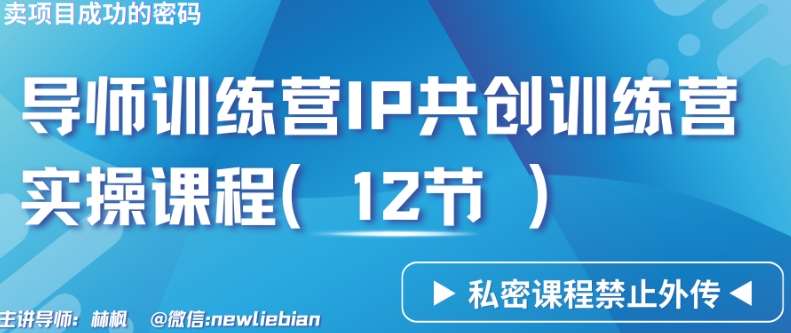 导师训练营3.0IP共创训练营私密实操课程（12节）-卖项目的密码成功秘诀【揭秘】-菡洋资源网