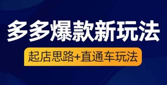 2023拼多多爆款·新玩法：起店思路+直通车玩法（3节精华课）-菡洋资源网