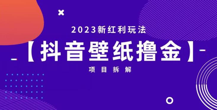 抖音壁纸小程序创作者撸金项目，2023新红利玩法【项目拆解】-菡洋资源网