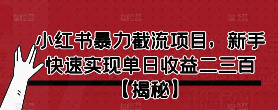 小红书暴力截流项目，新手快速实现单日收益二三百【仅揭秘】-菡洋资源网