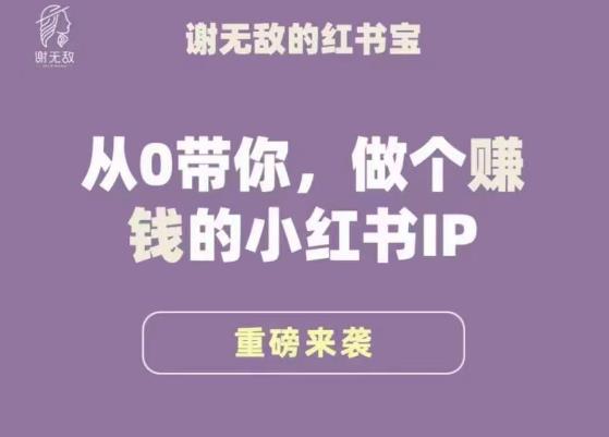 谢无敌·小红书运营大宝典，从0带你做个赚钱的小红书IP-菡洋资源网