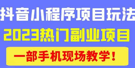 抖音小程序9.0新技巧，2023热门副业项目，动动手指轻松变现-菡洋资源网