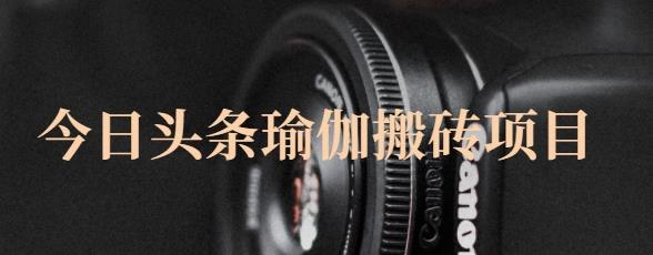 猎人社区·今日头条瑜伽搬砖项目，单号一天几十收入，可以批量操作！-菡洋资源网