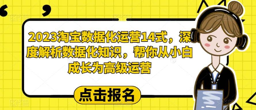 2023淘宝数据化-运营 14式，深度解析数据化知识，帮你从小白成长为高级运营-菡洋资源网