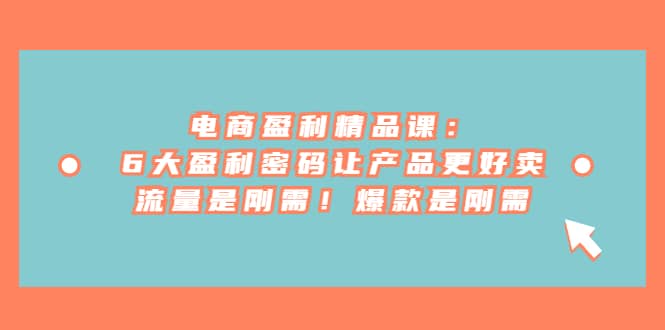 电商 盈利精品课：6大盈利 密码让产品更好卖，流量是刚需！爆款是刚需-菡洋资源网