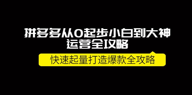 拼多多从0起步小白到大神运营全攻略-菡洋资源网