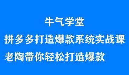 牛气学堂拼多多打造爆款系统实战课，老陶带你轻松打造爆款-菡洋资源网