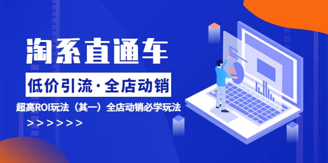 淘系直通车《低价·引流 全店·动销》超高ROI玩法（其一）全店动销必学玩法-菡洋资源网