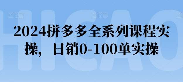 2024拼多多全系列课程实操，日销0-100单实操【必看】-菡洋资源网