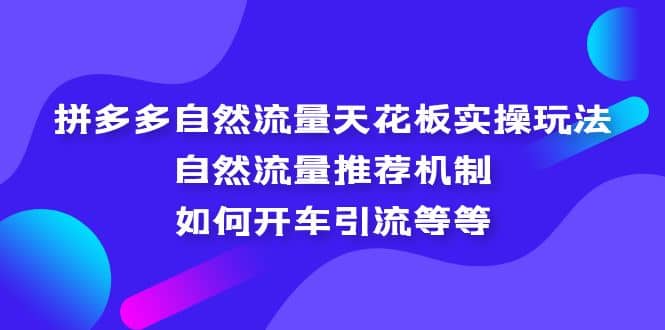 拼多多自然流量天花板实操玩法：自然流量推荐机制，如何开车引流等等-菡洋资源网