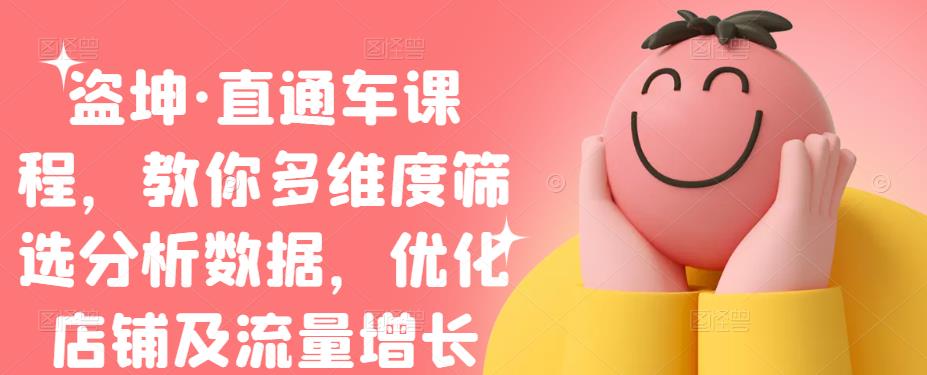 盗坤·直通车课程，教你多维度筛选分析数据，优化店铺及流量增长-菡洋资源网