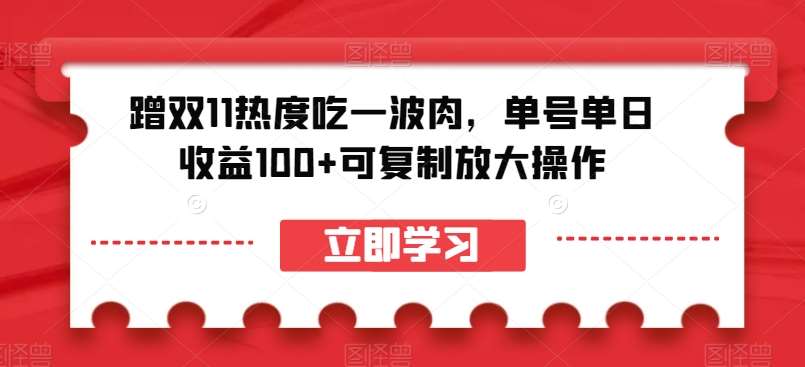 蹭双11热度吃一波肉，单号单日收益100+可复制放大操作【揭秘】-菡洋资源网