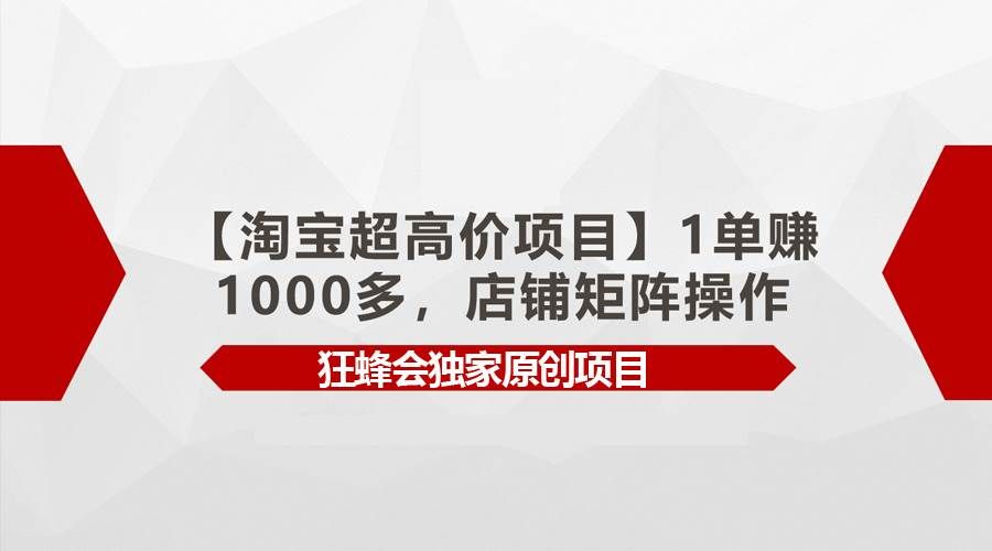 （9849期）【淘宝超高价项目】1单赚1000多，店铺矩阵操作-菡洋资源网