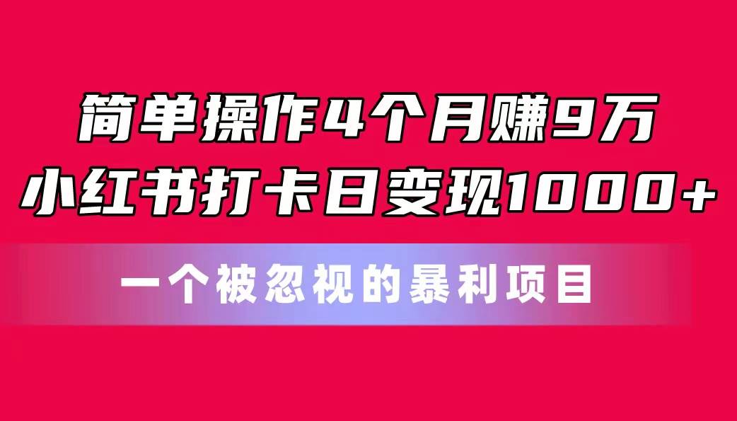 （11048期）简单操作4个月赚9万！小红书打卡日变现1000+！一个被忽视的暴力项目-菡洋资源网
