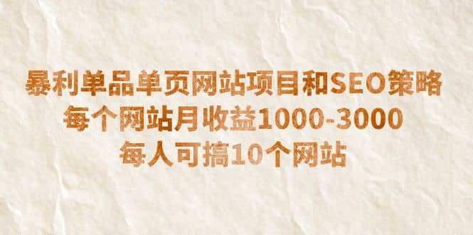 暴利单品单页网站项目和SEO策略 每个网站月收益1000-3000 每人可搞10个-菡洋资源网