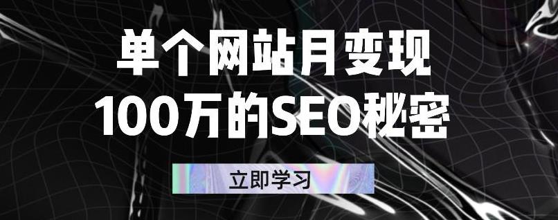 单个网站月变现100万的SEO秘密，百分百做出赚钱站点-菡洋资源网