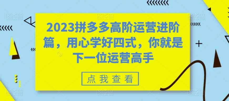 2023拼多多高阶运营进阶篇，用心学好四式，你就是下一位运营高手-菡洋资源网