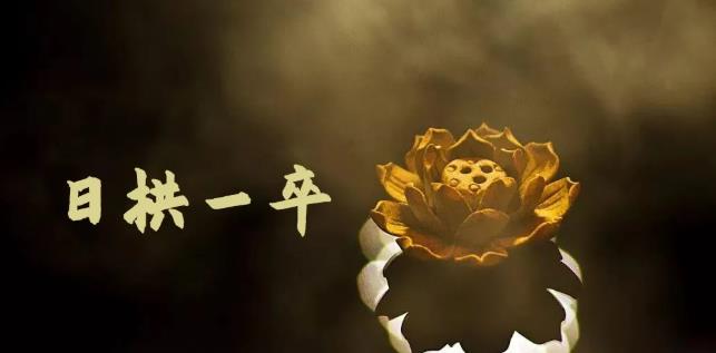 无脑搬砖，普通人可以复制的副业赚钱项目(附软件)-菡洋资源网