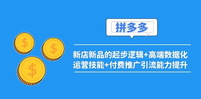 2022拼多多：新店新品的起步逻辑+高端数据化运营技能+付费推广引流能力提升-菡洋资源网