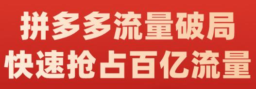 阿杰·拼多多流量破局:如何打黑标，爆款的思路，拼多多流量框架，快速抢占百亿流量-菡洋资源网