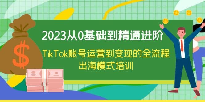 2023从0基础到精通进阶,TikTok账号运营到变现的全流程出海模式培训-菡洋资源网