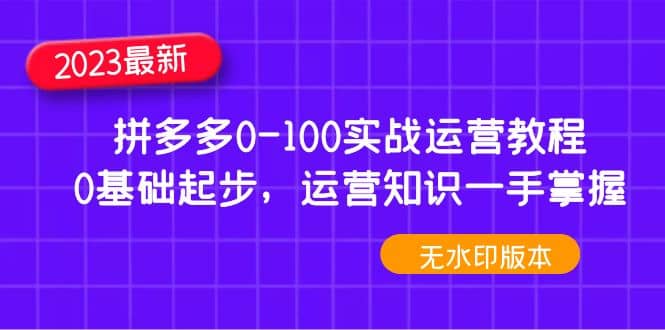 2023拼多多0-100实战运营教程，0基础起步，运营知识一手掌握（无水印）-菡洋资源网