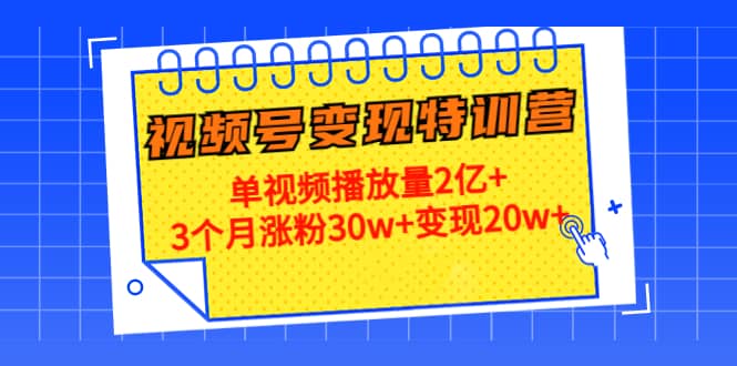 20天视频号变现特训营：单视频播放量2亿+-菡洋资源网