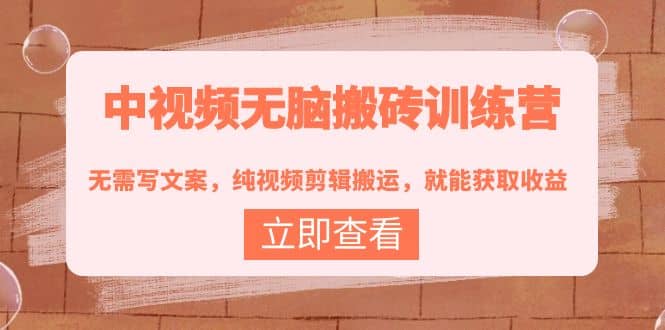 中视频无脑搬砖训练营：无需写文案，纯视频剪辑搬运，就能获取收益-菡洋资源网
