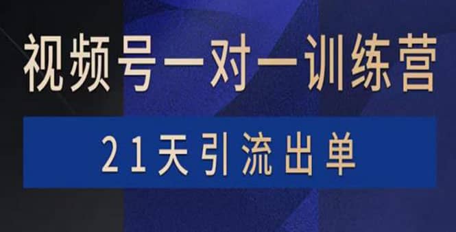 视频号训练营：带货，涨粉，直播，游戏，四大变现新方向，21天引流出单-菡洋资源网