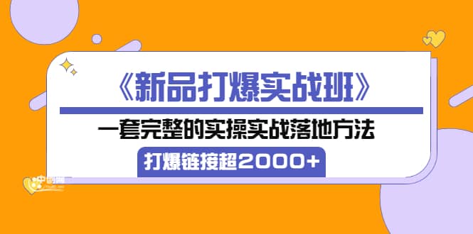 《新品打爆实战班》一套完整的实操实战落地方法，打爆链接超2000+（38节课)-菡洋资源网