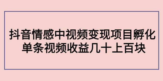 抖音情感中视频变现项目孵化-菡洋资源网