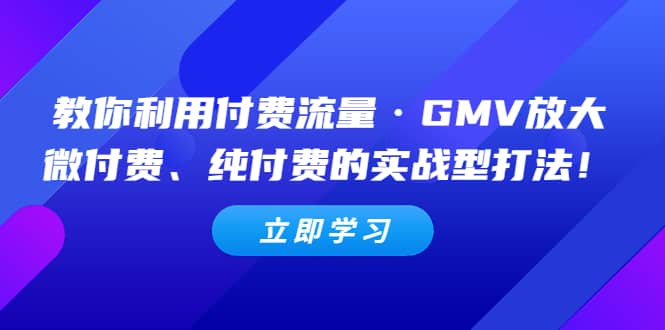 教你利用付费流量·GMV放大,微付费、纯付费的实战型打法-菡洋资源网