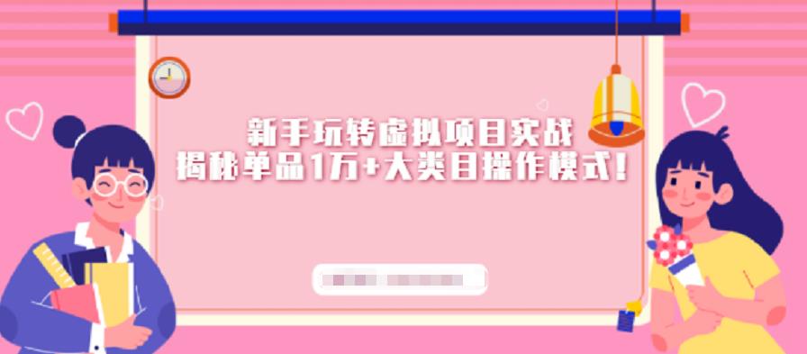 新手玩转虚拟项目实战，揭秘单品1万+大类目操作模式【视频课程】-菡洋资源网