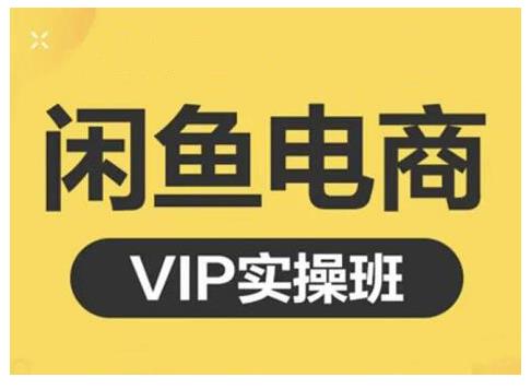 闲鱼电商零基础入门到进阶VIP实战课程，帮助你掌握闲鱼电商所需的各项技能-菡洋资源网